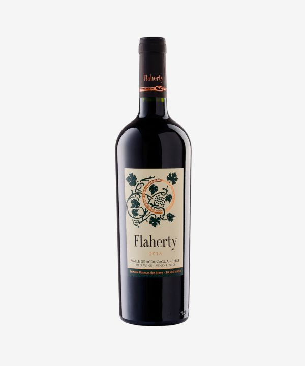 Flaherty Aconcagua
