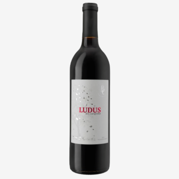 Ludus